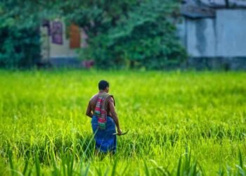 விவசாயிகளுக்கு சலுகை வட்டி விகிதத்தில் கடன் திட்டம்!