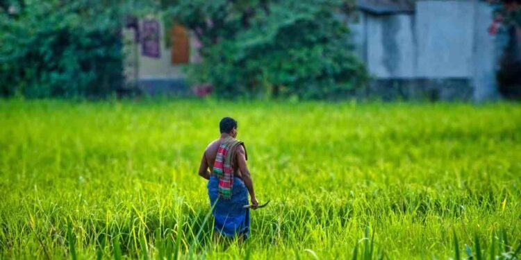 விவசாயிகளுக்கு சலுகை வட்டி விகிதத்தில் கடன் திட்டம்!