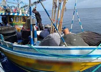 22 பில்லியனுக்கும் அதிகளவான போதைப்பொருள் பறிமுதல்