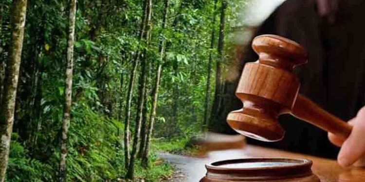 சிங்கராஜ வீதிக்கு எதிரான மனுவை விசாரணை செய்ய அனுமதி