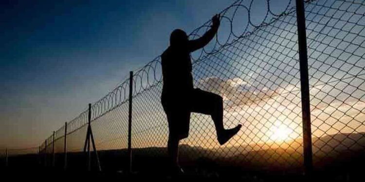 ‘ஷான் சுத்தா’ தப்பியோட்டம்