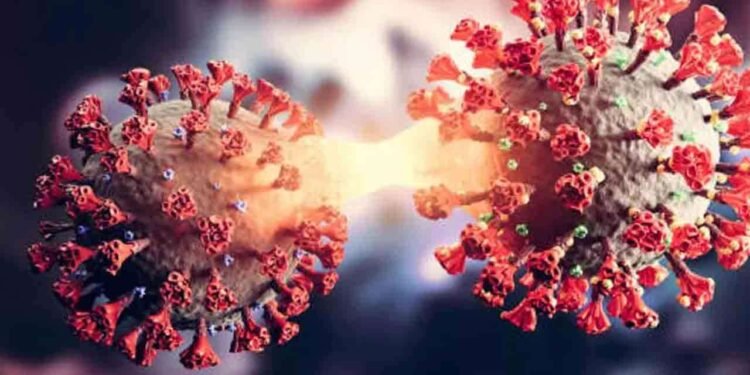 ஆய்வில் கண்டு பிடிக்கப்பட்டுள்ள புதிய தகவல்