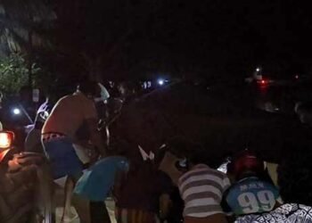 வாகன விபத்தில் வைத்தியர் ஒருவர் மரணம்