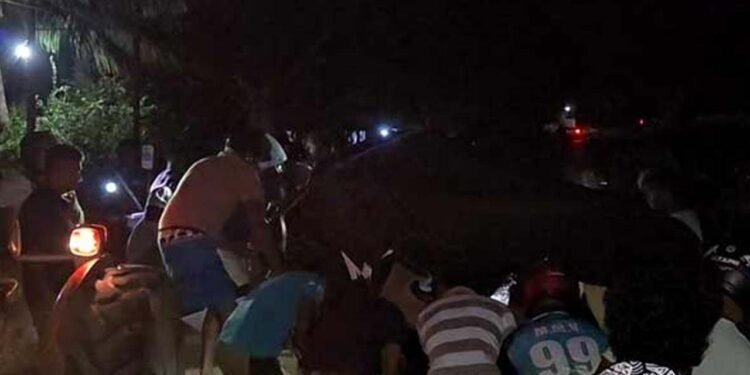 வாகன விபத்தில் வைத்தியர் ஒருவர் மரணம்