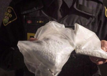 கனடா குறித்த டிரம்பின் கருத்தை பொய்ப்பிக்கும் வகையில் ஆய்வு வெளியீடு