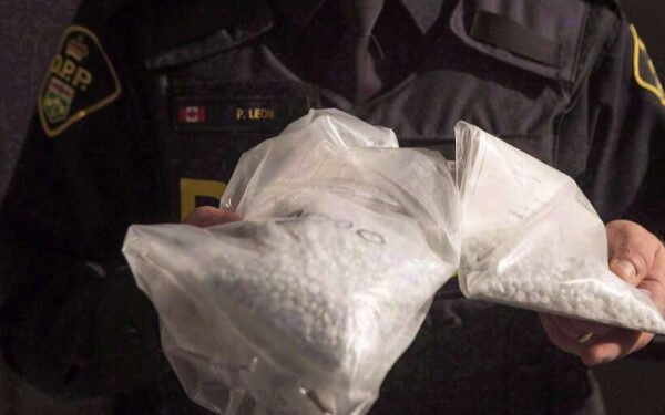 கனடா குறித்த டிரம்பின் கருத்தை பொய்ப்பிக்கும் வகையில் ஆய்வு வெளியீடு