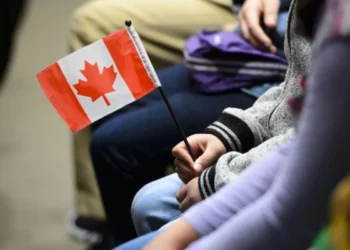 கனடாவில் போலி குடிவரவு சேவை வழங்கிய பெண் கைது