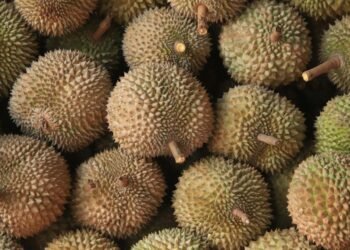 துரியன் விதை தொண்டையில் சிக்கி நபர் ஒருவர் உயிரிழப்பு!