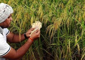 12,000 கோடிக்கு மேல் கடன் தள்ளுபடி!