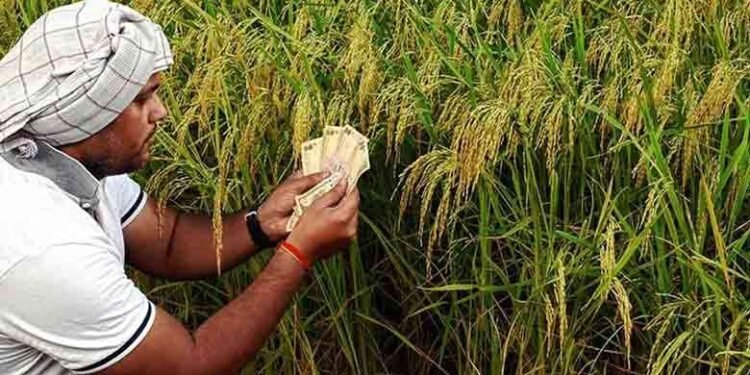 12,000 கோடிக்கு மேல் கடன் தள்ளுபடி!