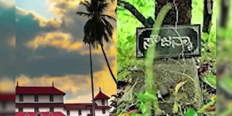 துஷ்பிரயோகம் செய்து 100 பெண்கள் கோவில் நிலத்தில் புதைப்பு?