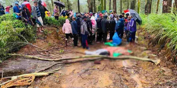 மரக்கிளை முறிந்து விழுந்ததில் சம்பவ இடத்தில் ஒருவர் பலி