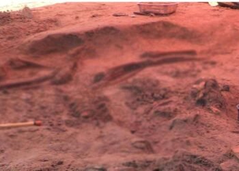 எவ்வித எலும்பு கூட்டுத் தொகுதிகளும் அடையாளம் காணப்படவில்லை