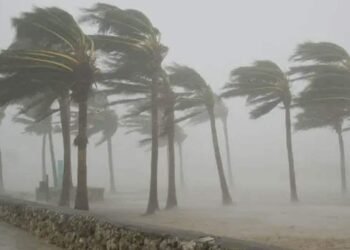 பலத்த காற்று தொடர்பில் எச்சரிக்கை