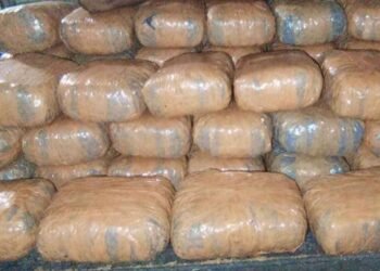 மன்னாரில் 20 மில்லியன் ரூபா பெறுமதியான கேரள கஞ்சா மீட்பு