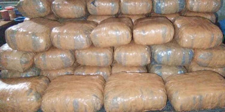 மன்னாரில் 20 மில்லியன் ரூபா பெறுமதியான கேரள கஞ்சா மீட்பு