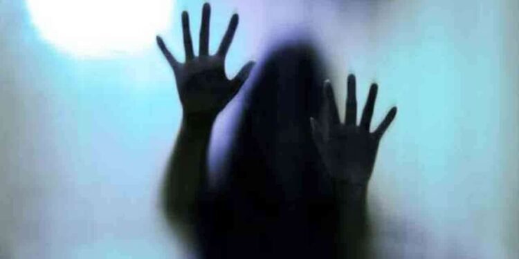 வீட்டுக்குள் புகுந்து இளம் பெண் துஷ்பிரயோகம்