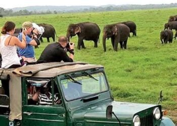 12 இலட்சத்தை கடந்த சுற்றுலா பயணிகளின் எண்ணிக்கை