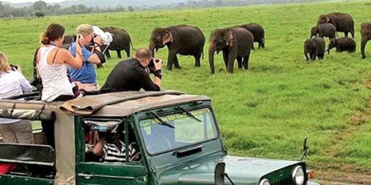 12 இலட்சத்தை கடந்த சுற்றுலா பயணிகளின் எண்ணிக்கை