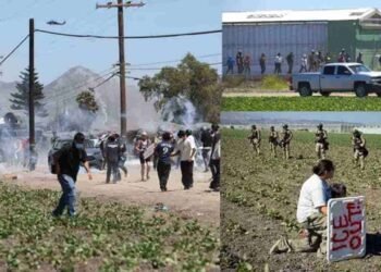 அமெரிக்காவில் சட்டவிரோதமாக தங்கி இருந்த 200 அகதிகள் கைது