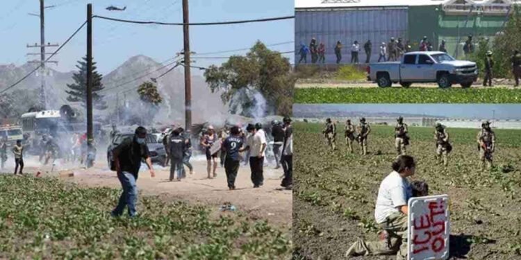 அமெரிக்காவில் சட்டவிரோதமாக தங்கி இருந்த 200 அகதிகள் கைது