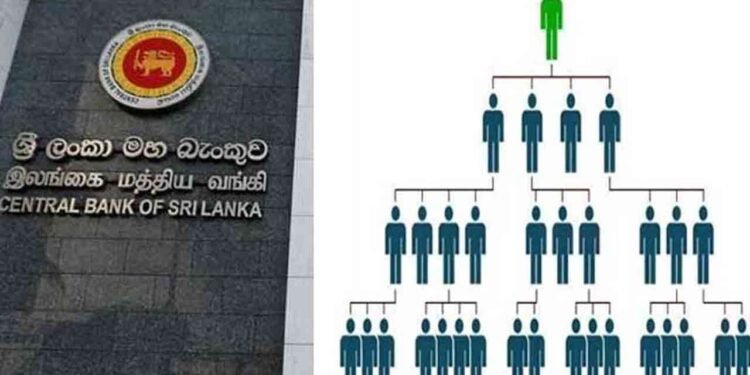 பிரமிட் எதிர்ப்பு தேசிய விழிப்புணர்வு வாரம் நாளை முதல்