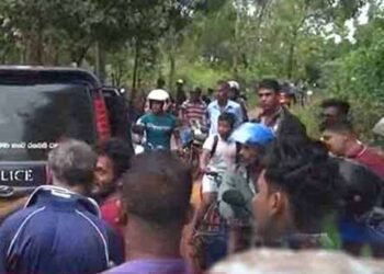 கர்ப்பிணி மானை வேட்டையாடிய சம்பவம் – வௌியான மேலதிக தகவல்கள்