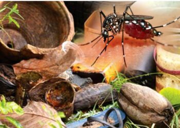 டெங்கு ஒழிப்பு 396 இடங்களுக்கு சிவப்பு எச்சரிக்கை