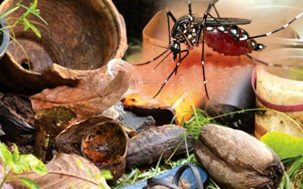 டெங்கு ஒழிப்பு 396 இடங்களுக்கு சிவப்பு எச்சரிக்கை