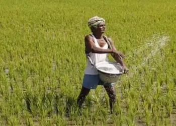 உரமானியத்திற்கு டிஜிட்டல் முறையை அறிமுகப்படுத்த அமைச்சரவை அனுமதி