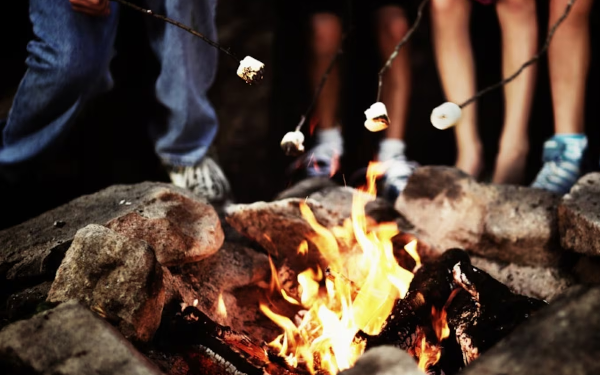 கனடாவின் இந்தப் பகுதியில் விதிக்கப்பட்டுள்ள தடை