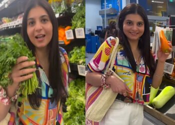 கனடாவில் விற்கப்படும் மளிகைப்பொருட்கள் விலை: வைரலாகும் இந்தியப் பெண்ணின் வீடியோ