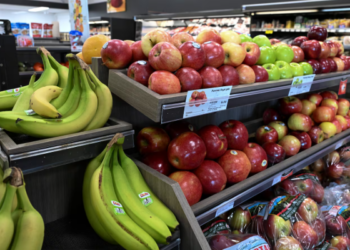 கனடாவில் உணவு விலைகள் தொடர்பில் வெளியான அறிவிப்பு