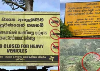 தடைகளையும் மீறி பயணிக்கும் கனரக வாகனங்கள்