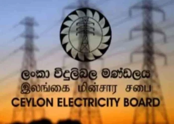 மின்சார சபை ஊழியர்களுக்காக தன்னார்வ ஓய்வூதியத் திட்டம்!