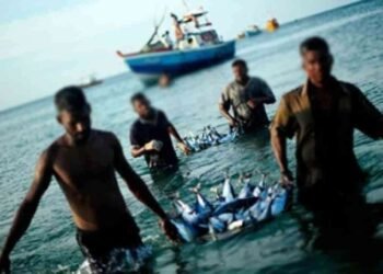 மீனவர்களுக்கான ஓய்வூதியத் திட்டம் மீண்டும்!