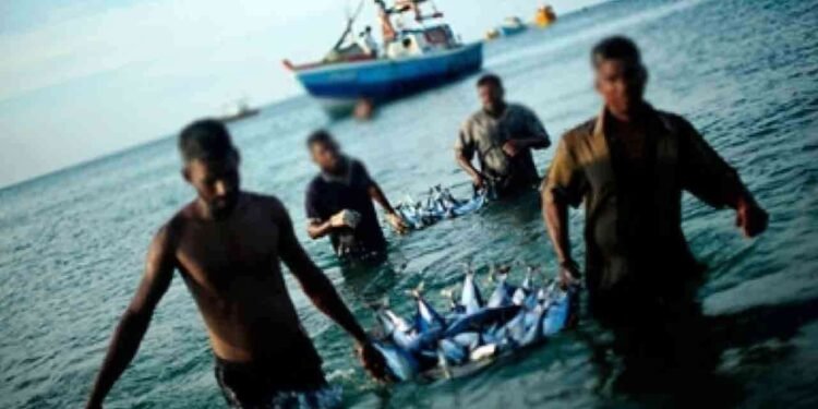 மீனவர்களுக்கான ஓய்வூதியத் திட்டம் மீண்டும்!