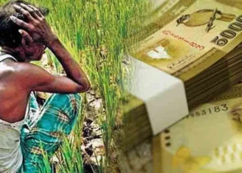 தானிய செய்கைகளுக்கு ஏற்படும் பாதிப்புக்கு காப்பீடு