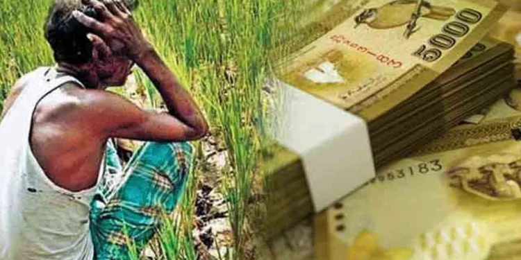 தானிய செய்கைகளுக்கு ஏற்படும் பாதிப்புக்கு காப்பீடு