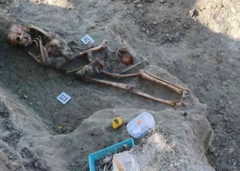 செம்மணியில் கட்டியணைத்தவாறு இரு எலும்பு கூட்டு தொகுதிகள் அடையாளம்