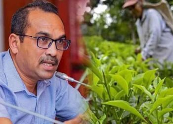 தோட்டத் தொழிலாளர்களின் ஊதிய உயர்வு அரசுக்கு சவாலாக உள்ளது