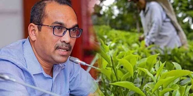 தோட்டத் தொழிலாளர்களின் ஊதிய உயர்வு அரசுக்கு சவாலாக உள்ளது