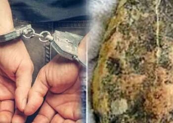 50 லட்சம் பெறுமதியான அம்பருடன் ஒருவர் கைது