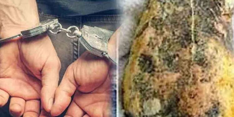 50 லட்சம் பெறுமதியான அம்பருடன் ஒருவர் கைது