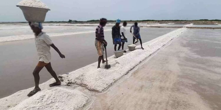 குறிஞ்சாத்தீவு உப்பளத்தை மீண்டும் ஆரம்பிக்க அனுமதி