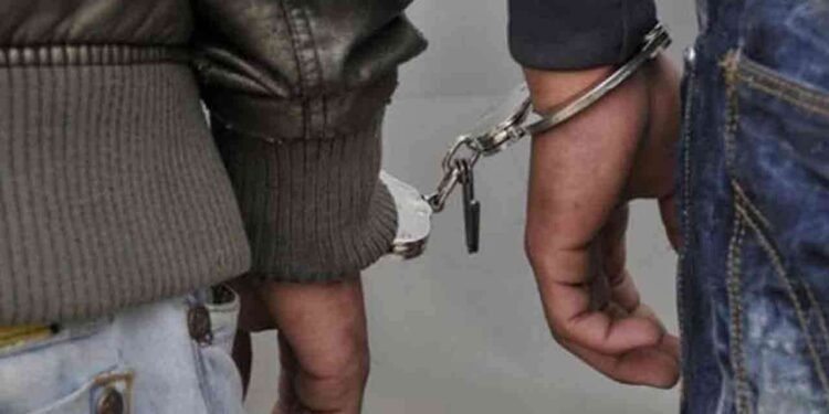 8 கிலோ குஷ் போதைப்பொருளுடன் இரு இந்தியர்கள் கைது