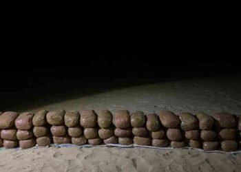 வடமராட்சியில் பெருந்தொகையான கேரளா கஞ்சா மீட்பு!