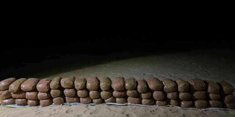 வடமராட்சியில் பெருந்தொகையான கேரளா கஞ்சா மீட்பு!