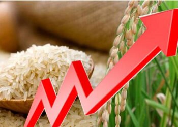 அரிசி விற்பனையில் ஈடுபடும் வர்த்தகர்களுக்கு எச்சரிக்கை