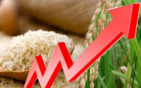 அரிசி விற்பனையில் ஈடுபடும் வர்த்தகர்களுக்கு எச்சரிக்கை